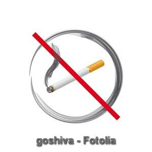Fotolia44577616300xs Fotolia44577616300xs