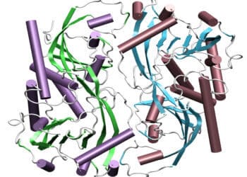 Bausteine des Lebens – Aminosäuren