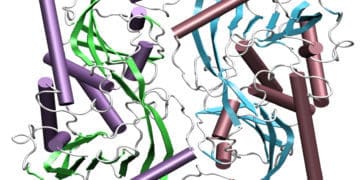 Bausteine des Lebens – Aminosäuren