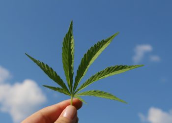 Entspannung pur mit dem Wirkstoff Cannabidiol