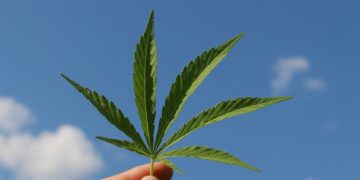 Entspannung pur mit dem Wirkstoff Cannabidiol