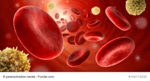 Rote und weiße Blutkörperchen in Arterie