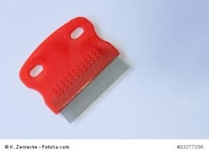 © K. Zernecke - Fotolia.com