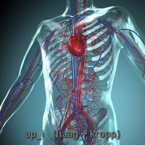 © ap_i - Fotolia.com