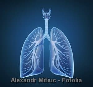 © Alexandr Mitiuc - Fotolia.com