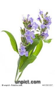 © unpict - Fotolia.com