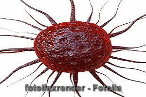 © fotoliaxrender - Fotolia.com