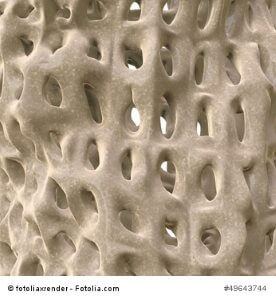 © fotoliaxrender - Fotolia.com