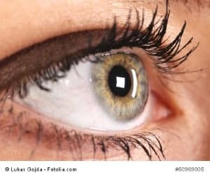 Teller pupillen - Die Produkte unter der Menge an analysierten Teller pupillen