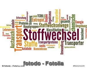 © fotodo - Fotolia.com