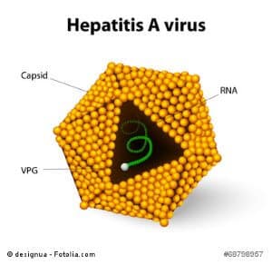 © designua - Fotolia.com