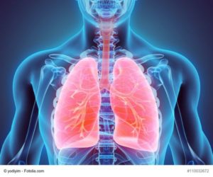 © yodiyim – Fotolia.com