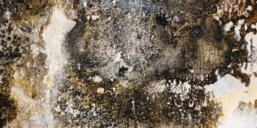 Was ist bei Schimmel im Schlafzimmer zu tun?