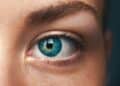 Auge