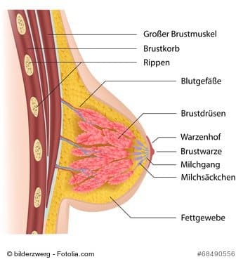 © bilderzwerg - Fotolia.com