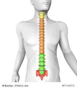 Rachitis Ursachen, Symptome, Therapie Ratgeber