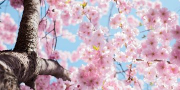 Die andere Art der Frühjahrskur