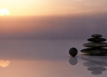 Black Friday Tipps: wie findet man die besten Pflegeprodukte online?