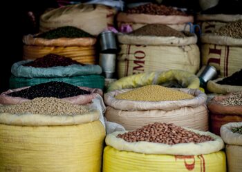 Eisenreiche Nahrung: Hülsenfrüchte