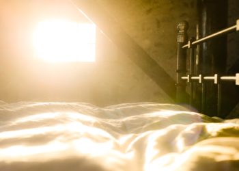 Für eine saubere Raumluft