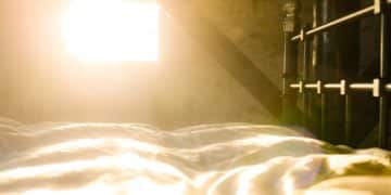 Für eine saubere Raumluft