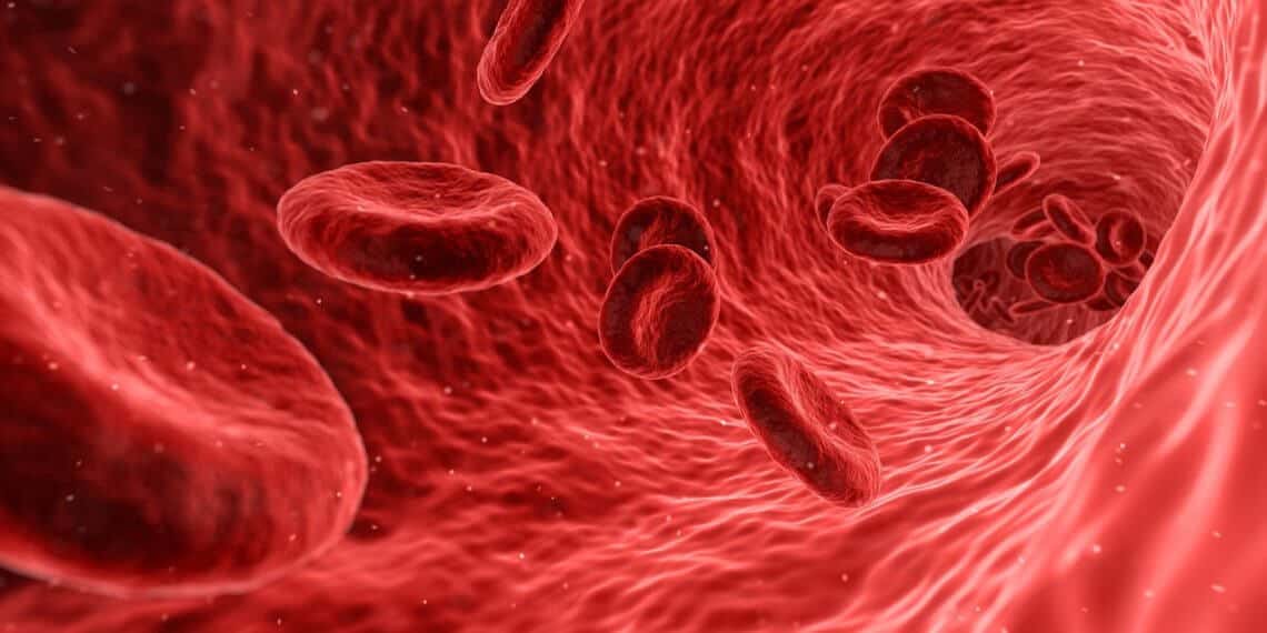 Blutvergiftung – Informationen zur Sepsis