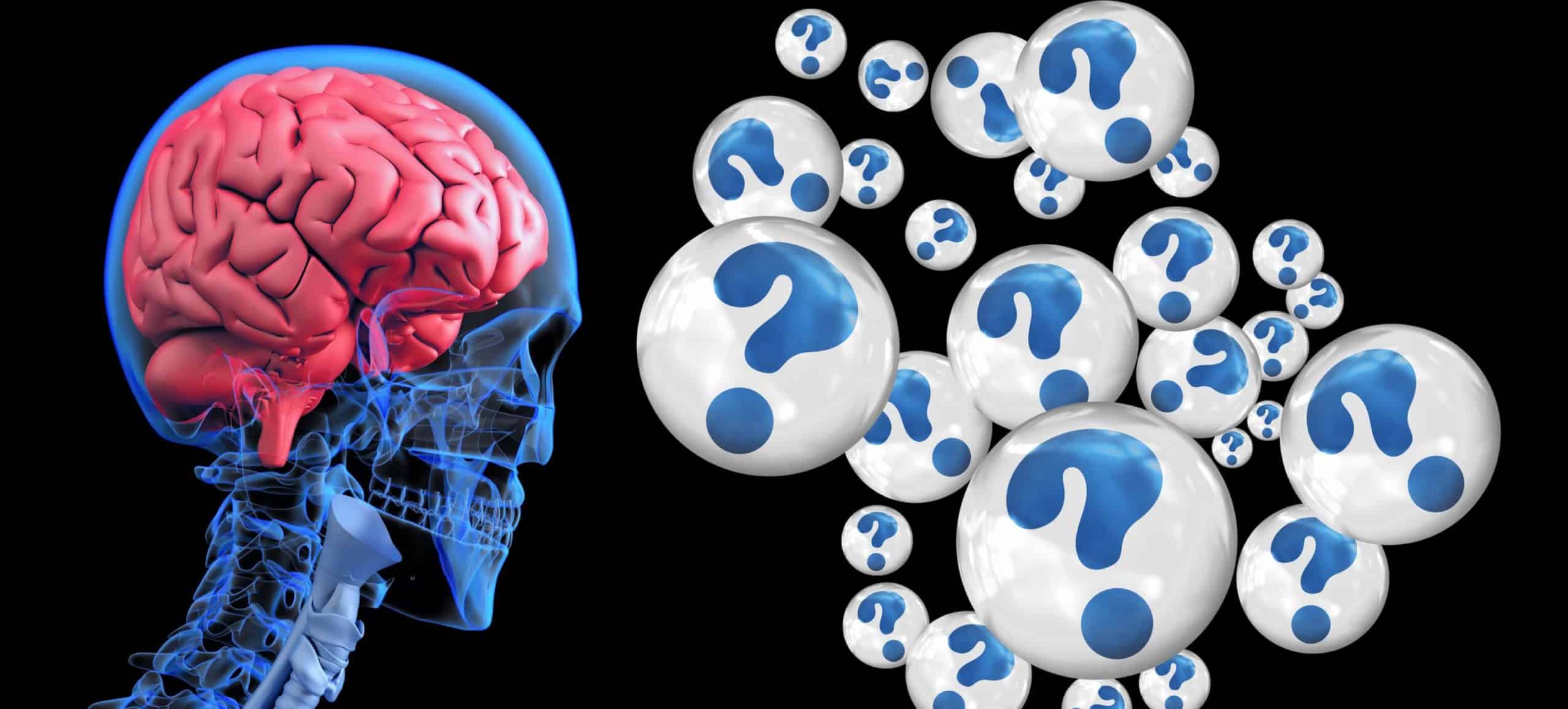Wissenschaft Beweist Vergiss Alles Was Du Über Alzheimer Weißt Diese Pflanze Ist Der Schlüssel - eibtoly