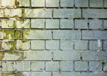 Schimmelbefall kann gesundheitsschädlich sein.