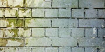 Schimmelbefall kann gesundheitsschädlich sein.