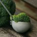 Broccoli – gesunde Inhaltsstoffe für eine gute Ernährung?