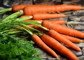 Ernährung für die Augen – Gemüse gegen Augenleiden?