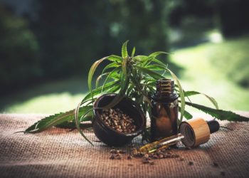 CBD-Öl – Das verspricht der neue Hype um das Naturheilmittel aus der Hanfpflanze
