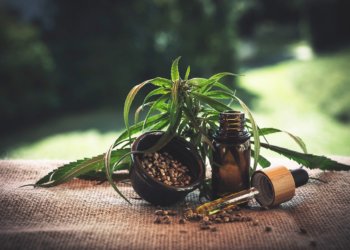 CBD-Öl-Produkte: Wo sind die Unterschiede?