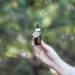 CBD Flasche; Bild von Erin Stone