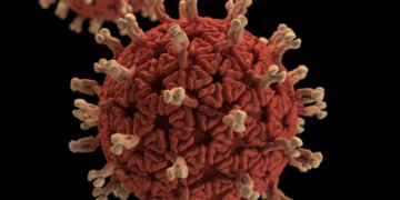 Antibiotika Resistenzen mit Antikörpern überwinden: Chance bei therapieresistenten Infektionen