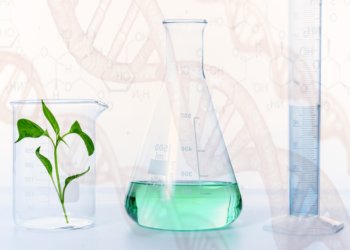 Belastung der Gesundheit durch Chemikalien