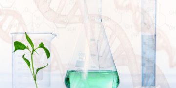 Belastung der Gesundheit durch Chemikalien