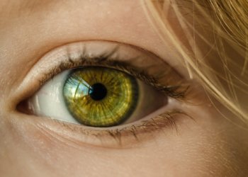 Imaginäre „Insekten“, die wie von Geisterhand durch die Luft schweben
