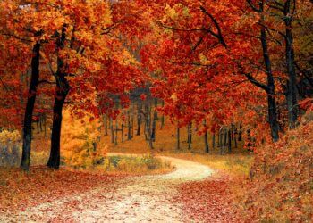 Winterblues vertreiben: So kommen Sie voller Energie durch die dunkle Jahreszeit