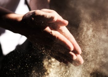 Hausstaubmilbenallergie: Symptome, Therapie und mehr