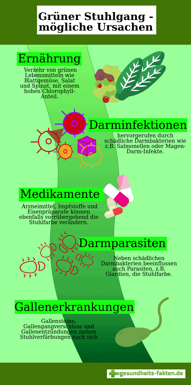 Stuhlgang salmonellen Salmonellenvergiftung erkennen