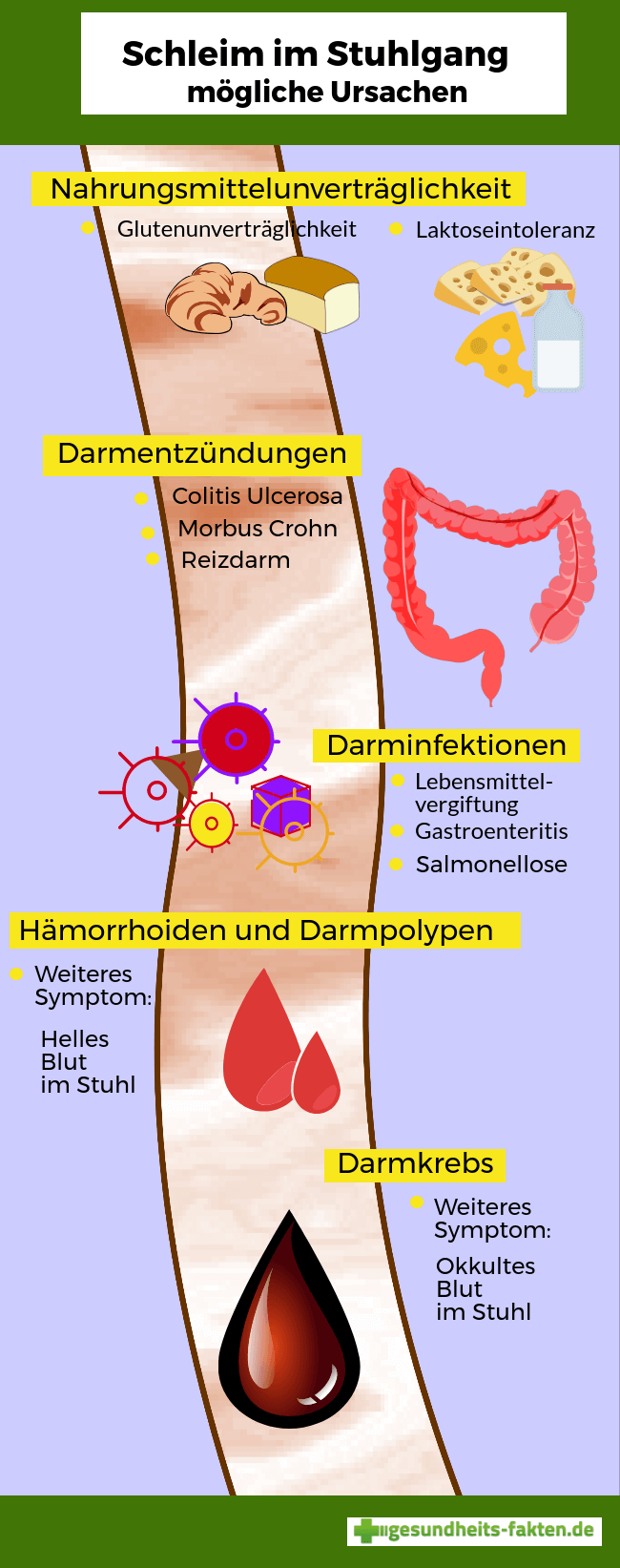 Schleim Im Stuhl Ursachen Und Gegenmaßnahmen