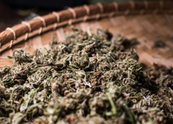 Der Unterschied zwischen CBD Zigaretten und THC Zigaretten