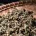 Der Unterschied zwischen CBD Zigaretten und THC Zigaretten