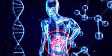 Viele Menschen leiden unter chronischen Darmkrankheiten.