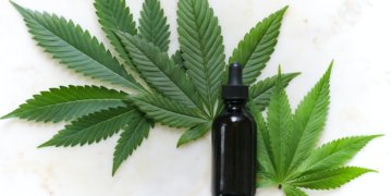 Heuschnupfen ade: So kann CBD gegen Allergien helfen