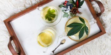 Gibt es kosmetische Produkte auf CBD Basis?