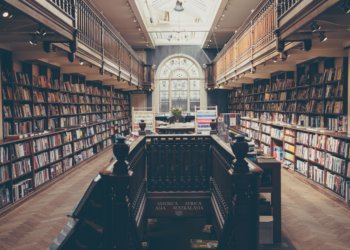 Universität: Bildung ist Alles