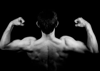 Fettfrei Muskeln aufbauen