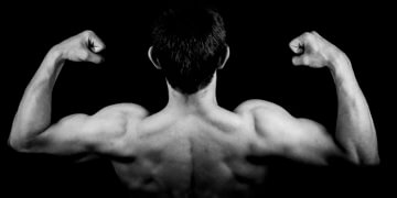 Fettfrei Muskeln aufbauen